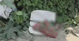 মির্জাপুরে মহাসড়কের পাশ থেকে নবজাতকের মরদেহ উদ্ধার